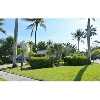 Boca Raton Real Estate