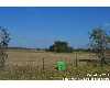 Click here to View Real Estate near 10 acres highway 97 east Floresville, TX 78114 homes near 10 acres highway 97 east Floresville, TX 78114
