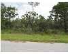 Click here to View Real Estate near 1324 ceylon dr GULF BREEZE, FL 32563 homes near 1324 ceylon dr GULF BREEZE, FL 32563