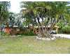 Click here to View Real Estate near 29059 begonia drive Big Pine Key, FL 33043 homes near 29059 begonia drive Big Pine Key, FL 33043