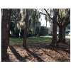 LEESBURG Real Estate