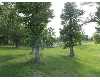 Click here to View Real Estate near 353 knight rd Sumrall, MS 39482 homes near 353 knight rd Sumrall, MS 39482