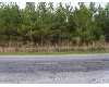 Click here to View Real Estate near 353 knight rd Sumrall, MS 39482 homes near 353 knight rd Sumrall, MS 39482