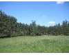 Click here to View Real Estate near dogwood parcel g Reed City, MI 49677 homes near dogwood parcel g Reed City, MI 49677