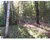 Click here to View Real Estate near 4515 interlake OSCODA, MI 48750 homes near 4515 interlake OSCODA, MI 48750