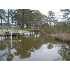 708 WARREN DRIVE, Oriental, NC - MLS 50177