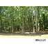 7005 FAIRWINDS DRIVE, Oriental, NC - MLS 58783