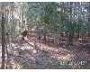Click here to View Real Estate near 6530 nc 55 hwy Reelsboro, NC 28560 homes near 6530 nc 55 hwy Reelsboro, NC 28560