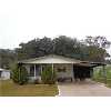 WESLEY CHAPEL Real Estate