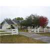 WESLEY CHAPEL Real Estate