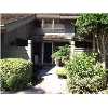 WESLEY CHAPEL Real Estate