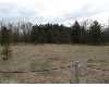 Click here to View Real Estate near 19202 mark street Wellston, MI 49689 homes near 19202 mark street Wellston, MI 49689