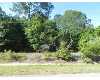 Click here to View Real Estate near 1336 stratton dr LAKELAND, Fl 33813 homes near 1336 stratton dr LAKELAND, Fl 33813
