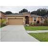 WESLEY CHAPEL Real Estate