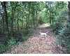 Click here to View Real Estate near 51 summer place Hattiesburg, MS 39402 homes near 51 summer place Hattiesburg, MS 39402