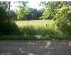 Click here to View Real Estate near 226 sherman Sheridan, MI 48884 homes near 226 sherman Sheridan, MI 48884