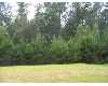 Click here to View Real Estate near 14 brown lane Petal, MS 39465 homes near 14 brown lane Petal, MS 39465