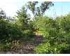 Click here to View Real Estate near 19202 mark street Wellston, MI 49689 homes near 19202 mark street Wellston, MI 49689