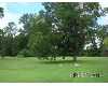 Click here to View Real Estate near 2010 scotts store road Grantsboro, NC 28529 homes near 2010 scotts store road Grantsboro, NC 28529