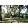 LAKE WALES Real Estate