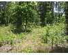 Click here to View Real Estate near 51 summer place Hattiesburg, MS 39402 homes near 51 summer place Hattiesburg, MS 39402