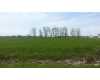 Click here to View Real Estate near 190 south germania Snover, MI 48472 homes near 190 south germania Snover, MI 48472