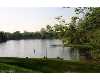 Click here to View Real Estate near 7799 hazel Mears, MI 49436 homes near 7799 hazel Mears, MI 49436