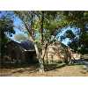 10123 RAVENSWOOD Drive