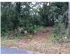 Click here to View Real Estate near 1005 east 3rd court Panama City, FL 32401 homes near 1005 east 3rd court Panama City, FL 32401