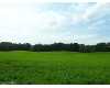 Click here to View Real Estate near 8438 church Palo, Mi 48870 homes near 8438 church Palo, Mi 48870