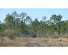 Click here to View Real Estate near 104 village blvd Santa Rosa Beach, FL 32459 homes near 104 village blvd Santa Rosa Beach, FL 32459