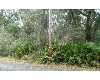 Click here to View Real Estate near 96209 piney island drive Fernandina Beach, FL 32034 homes near 96209 piney island drive Fernandina Beach, FL 32034