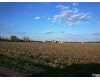 Click here to View Real Estate near 311 washington st Republic, OH 44867 homes near 311 washington st Republic, OH 44867