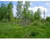 Click here to View Real Estate near v/l rich rd Mayville, MI 48744 homes near v/l rich rd Mayville, MI 48744