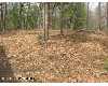 Click here to View Real Estate near kings highway Chase, MI 49623 homes near kings highway Chase, MI 49623