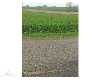 Click here to View Real Estate near 411 potter MULLIKEN, MI 48861 homes near 411 potter MULLIKEN, MI 48861