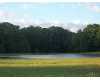 Click here to View Real Estate near 621 hosmer St. Charles, MI 48655 homes near 621 hosmer St. Charles, MI 48655