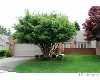 Click here to View Real Estate near 37175 birwood ct Farmington Hills, MI 48335 homes near 37175 birwood ct Farmington Hills, MI 48335