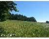 Click here to View Real Estate near 12433 saginaw Clio, MI 49420 homes near 12433 saginaw Clio, MI 49420