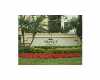 Click here to View Real Estate near 9099 ne 52 ct Coral Springs, FL 33067 homes near 9099 ne 52 ct Coral Springs, FL 33067