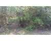 Click here to View Real Estate near lot 1 high tide way SEACREST, FL 32413 homes near lot 1 high tide way SEACREST, FL 32413