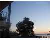 Click here to View Real Estate near 22020 thorofare rd GROSSE ILE, MI 48138 homes near 22020 thorofare rd GROSSE ILE, MI 48138