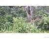 Click here to View Real Estate near 15280 murray road Byron, MI 48416 homes near 15280 murray road Byron, MI 48416