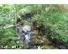 Click here to View Real Estate near 0000 lukens ONEKAMA, MI 49614 homes near 0000 lukens ONEKAMA, MI 49614