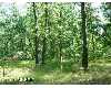 Click here to View Real Estate near steinberg road east 1/2 Wellston, MI 49689 homes near steinberg road east 1/2 Wellston, MI 49689