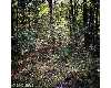 Click here to View Real Estate near 205 pegasus GERRARDSTOWN, WV 25420 homes near 205 pegasus GERRARDSTOWN, WV 25420