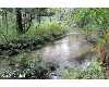 Click here to View Real Estate near 2031 west echo White Cloud, Mi 49349 homes near 2031 west echo White Cloud, Mi 49349