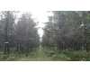 Click here to View Real Estate near 3660 north huron rd Augres, MI 48703 homes near 3660 north huron rd Augres, MI 48703