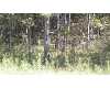 Click here to View Real Estate near 1712 north clarwin Gladwin, MI 48624 homes near 1712 north clarwin Gladwin, MI 48624