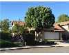 Click here to View Real Estate near 2428 chanslor street Pomona, CA 91766 homes near 2428 chanslor street Pomona, CA 91766